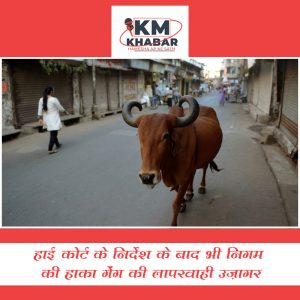 हाईकोर्ट के निर्देश के बाद भी निगम की हाका गेंग की लापरवाही उज़ागर