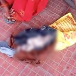 Singrauli district, ambulance was not found to carry the dead body of the newborn