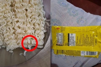 Maggi noodles, customer made a video: Complained to the consumer forum, said - insects started floating as soon as put in water