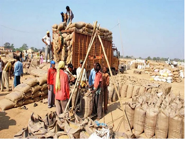 Today's Paddy Market Rate (28 January 2025)