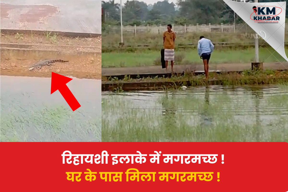 Jabalpur residential area after 3-4 foot long crocodile is found; Forest Department team